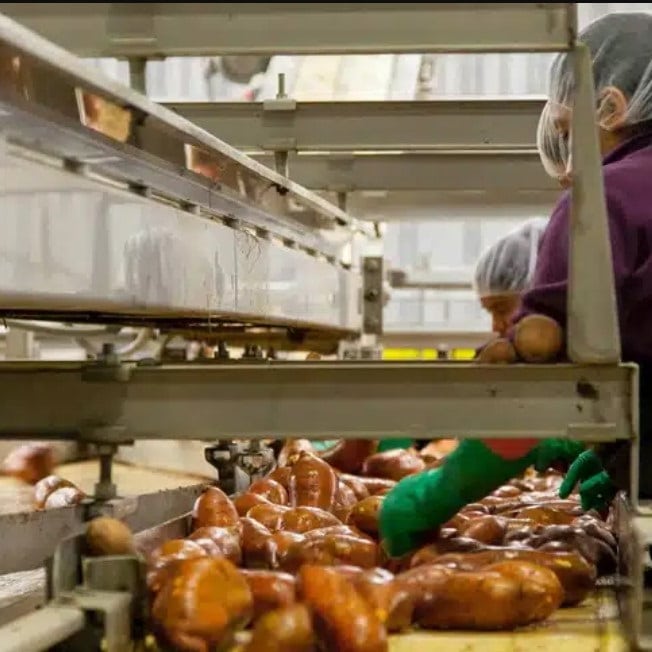 Restaurant Ceiling Fans
