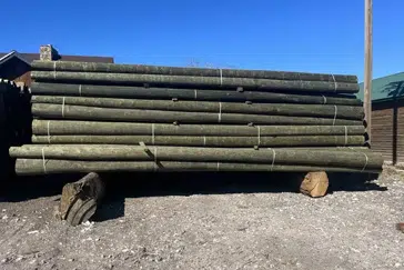 Ponderosa Pine Poles