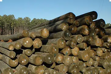 Southern Yellow Pine Poles