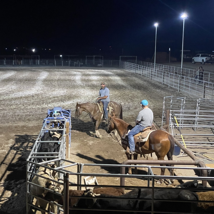 Outdoor Rodeo Arena Lighting