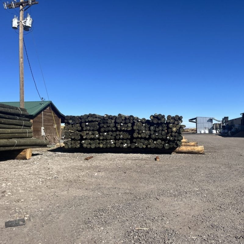 Ponderosa Pine Poles 1