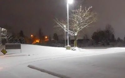 Parking Lot Case Study: Healthy Living Technology Boosts LED Upgrades for Cost Reduction & Fixture Longevity