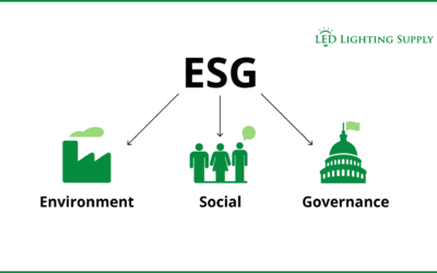 Building Your ESG Strategy – The Complete Guide