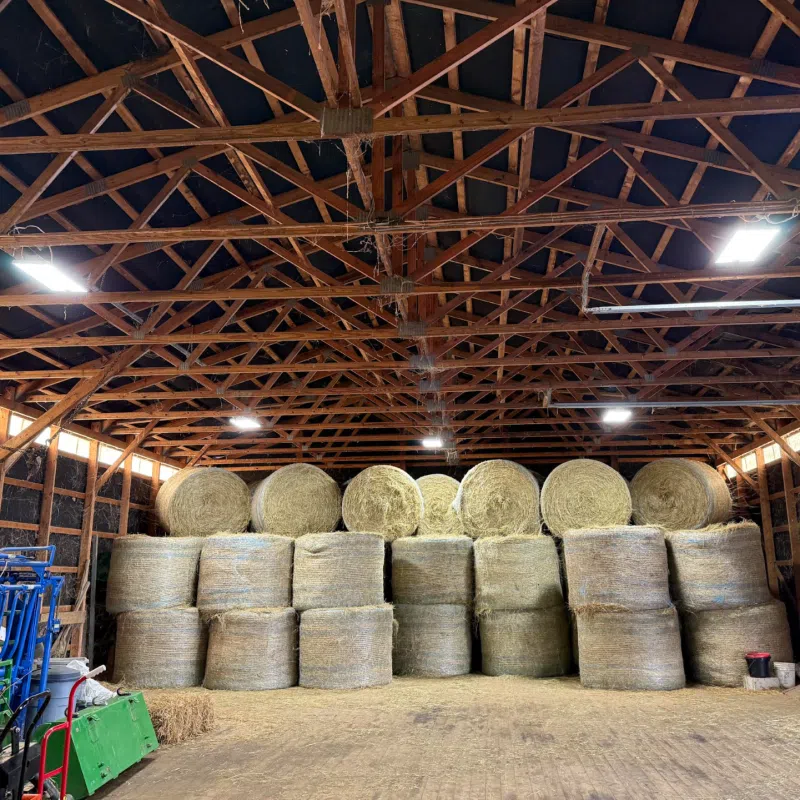 Lls X Hblin8 2 1059080 Cc Barn Shed