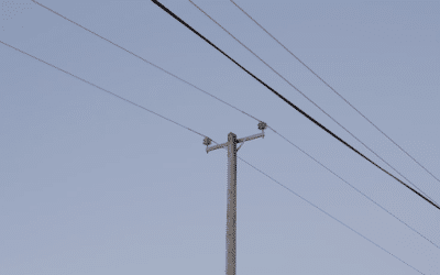 Comparing Utility Wood Pole Treatments: CCA vs DCOI vs PENTA